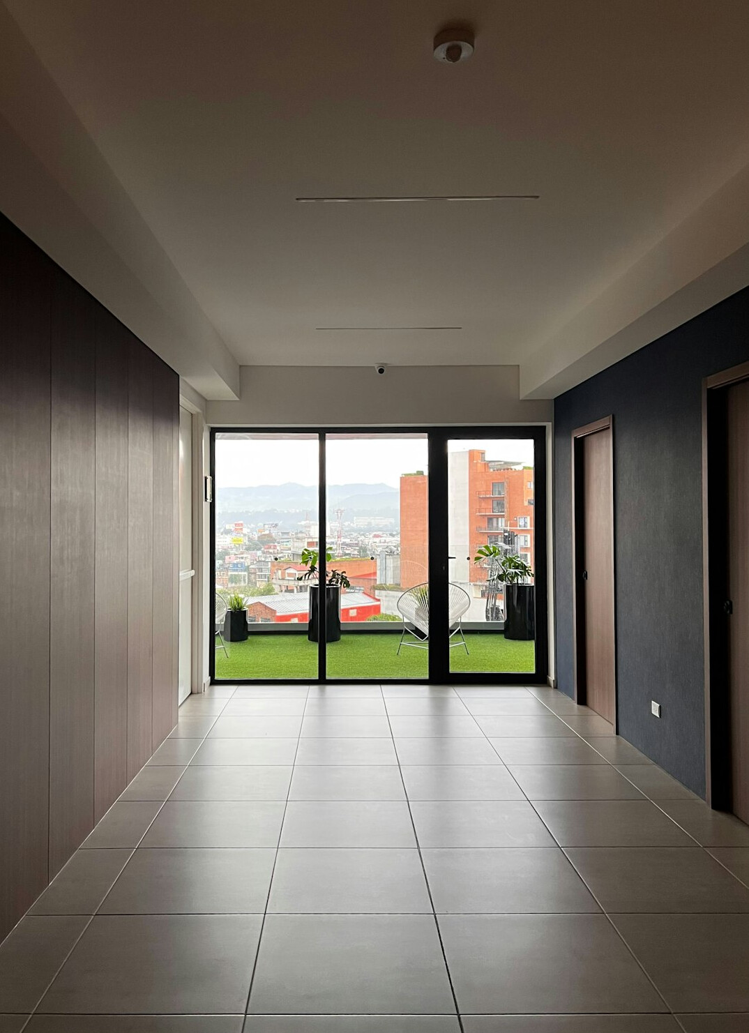 Apartment hallway and living space with plants and shelves